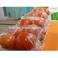 pillow type sachet packaging machine